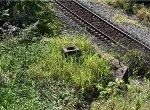 Natural Bridge Station Remains